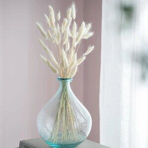 Bunny Tail Grass Bundle